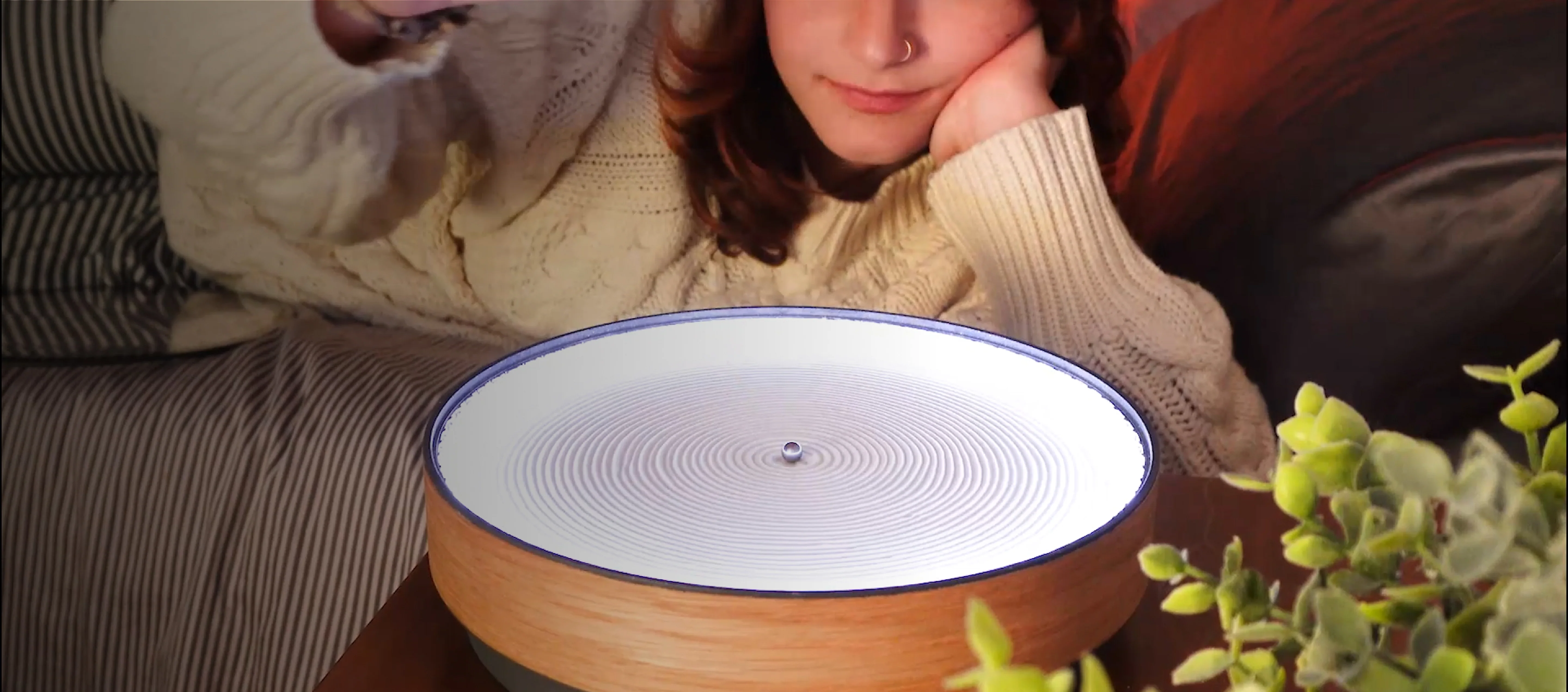 Elevate Your Space with Motion